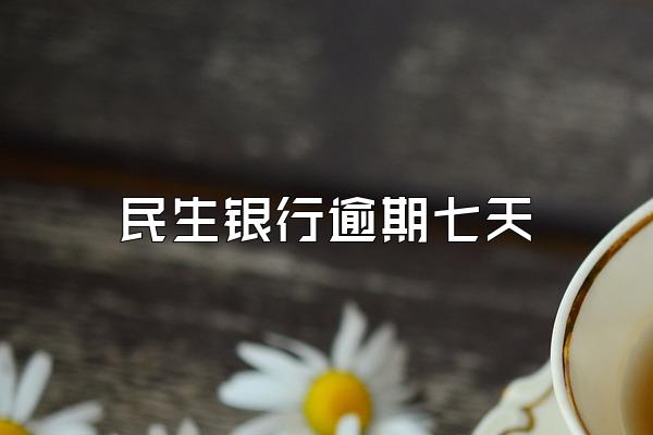 民生银行逾期七天