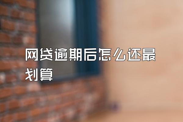 网贷逾期后怎么还最划算