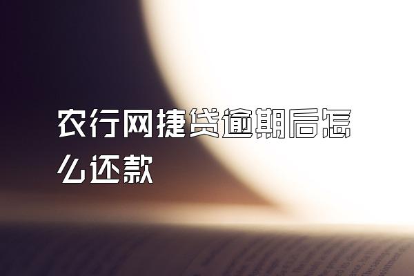 农行网捷贷逾期后怎么还款