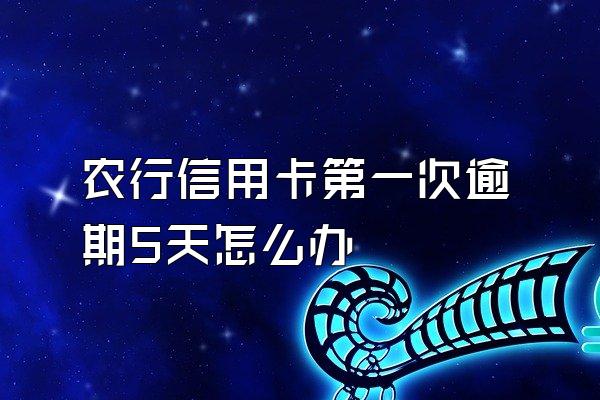 农行信用卡第一次逾期5天怎么办
