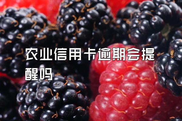 农业信用卡逾期会提醒吗