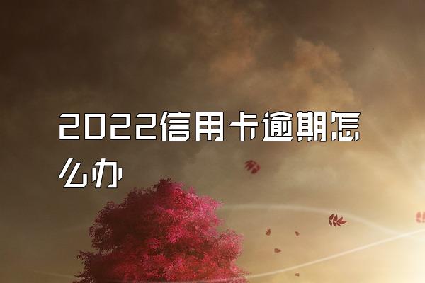 2022信用卡逾期怎么办