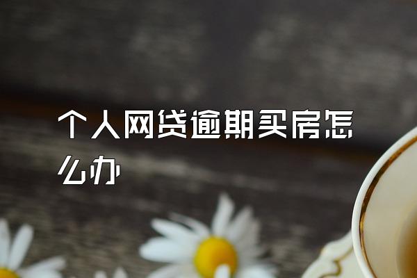 个人网贷逾期买房怎么办