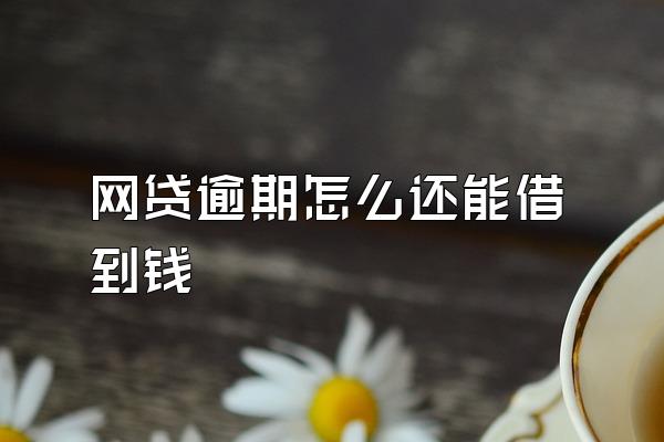 网贷逾期怎么还能借到钱