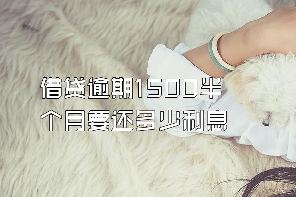 借贷逾期1500半个月要还多少利息