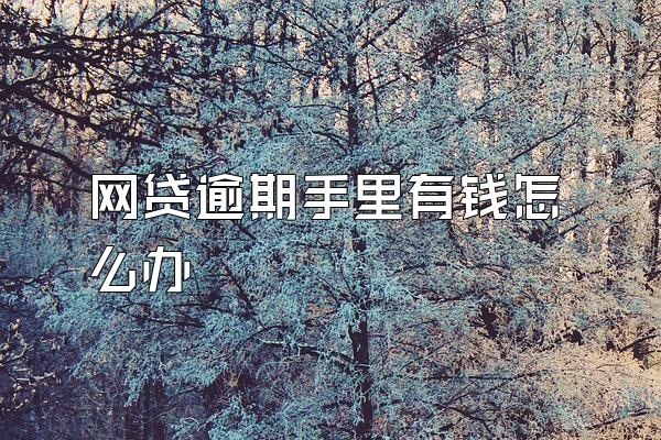 网贷逾期手里有钱怎么办