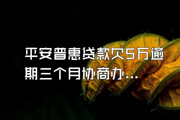 平安普惠贷款欠5万逾期三个月协商办法