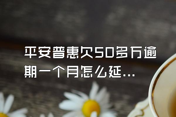 平安普惠欠50多万逾期一个月怎么延期还款