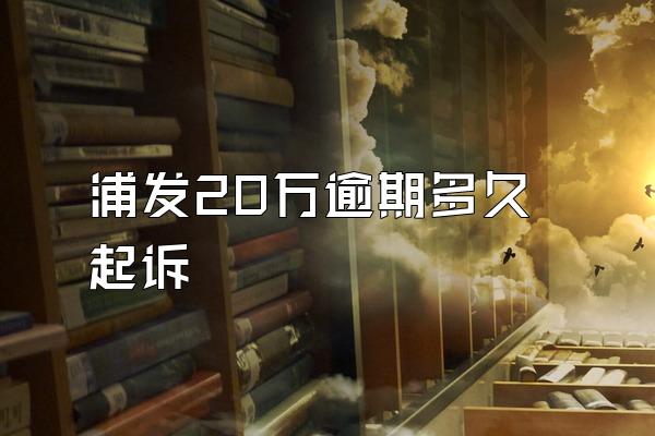 浦发20万逾期多久起诉