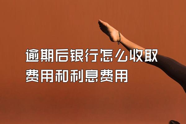 逾期后银行怎么收取费用和利息费用
