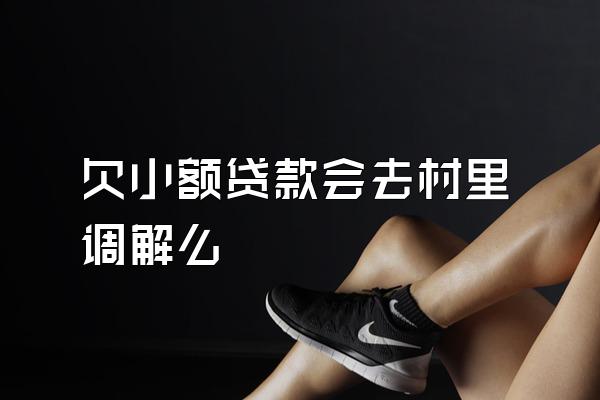 欠小额贷款会去村里调解么