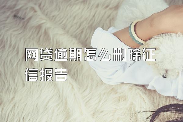 网贷逾期怎么删除征信报告