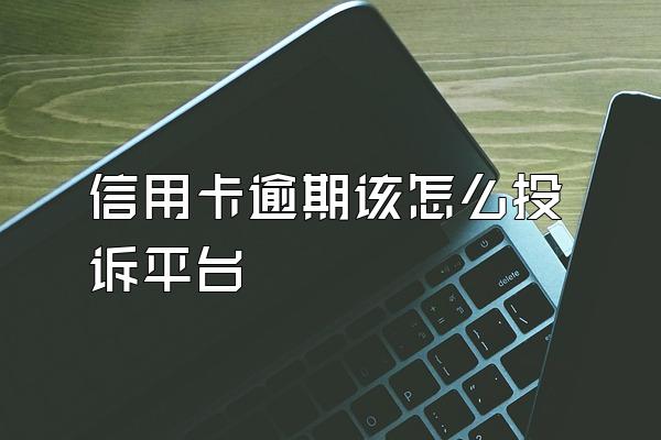 信用卡逾期该怎么投诉平台