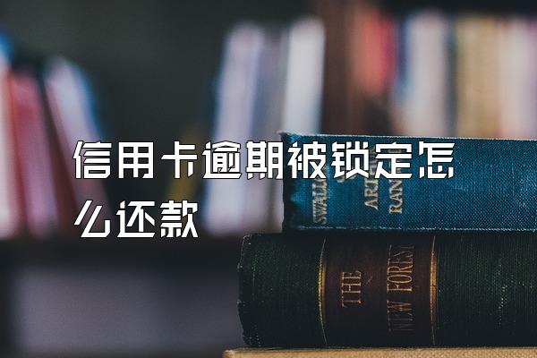 信用卡逾期被锁定怎么还款