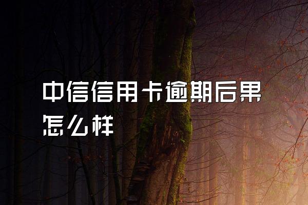 中信信用卡逾期后果怎么样