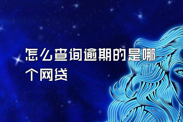 怎么查询逾期的是哪个网贷
