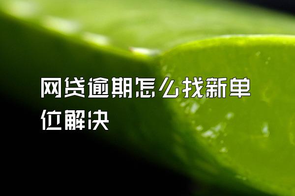 网贷逾期怎么找新单位解决